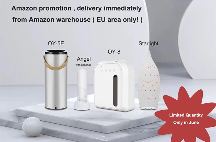 Sales promotion in June